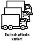 flottes de véhicule camions